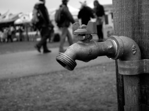 Common Ground Fair, ME